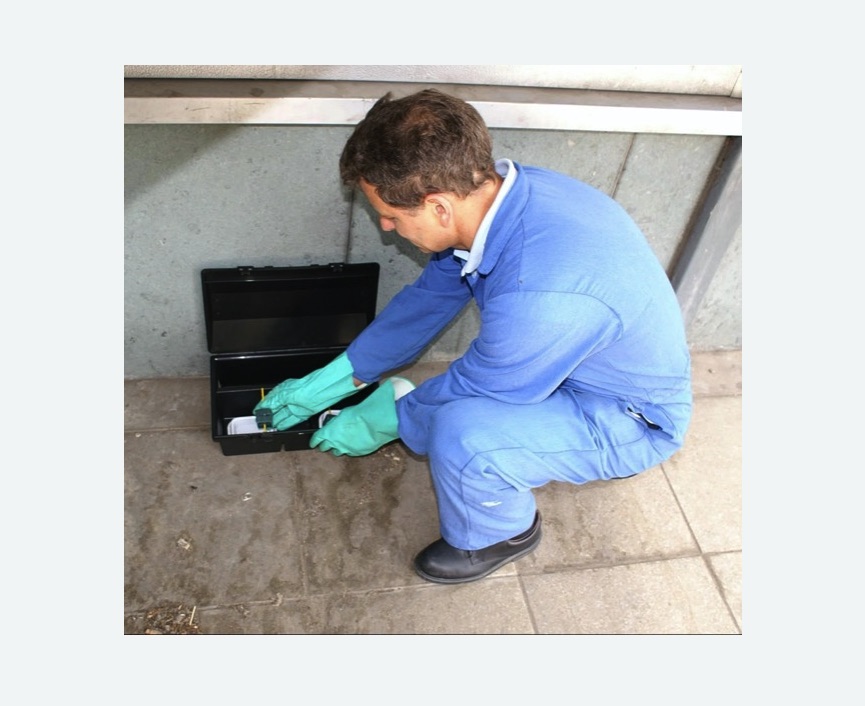 Дератизация помещения в Копейске Дератизация помещения