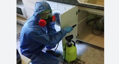 Уничтожение муравьев в квартире. Копейск