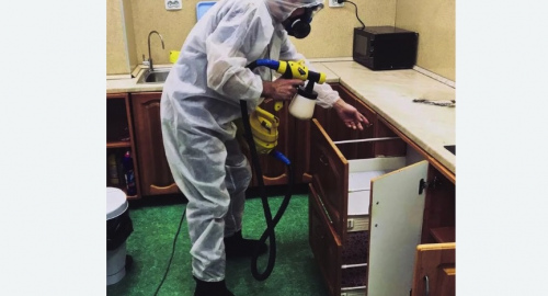 Уничтожение насекомых в квартире. Копейск