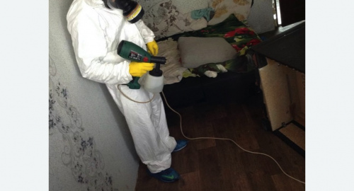 Обработка квартир от насекомых в Копейске