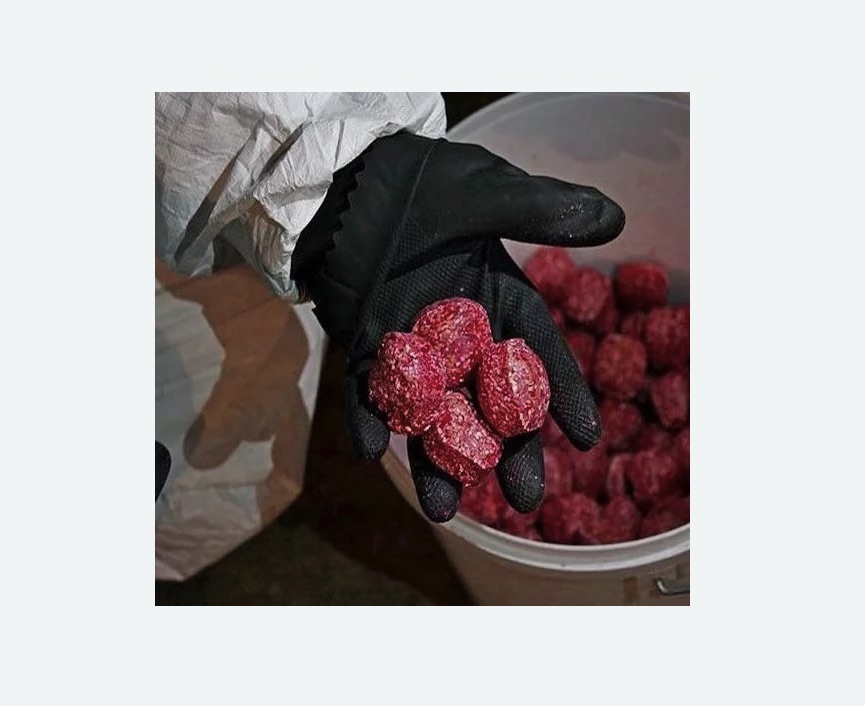 Обработка от крыс в Копейске