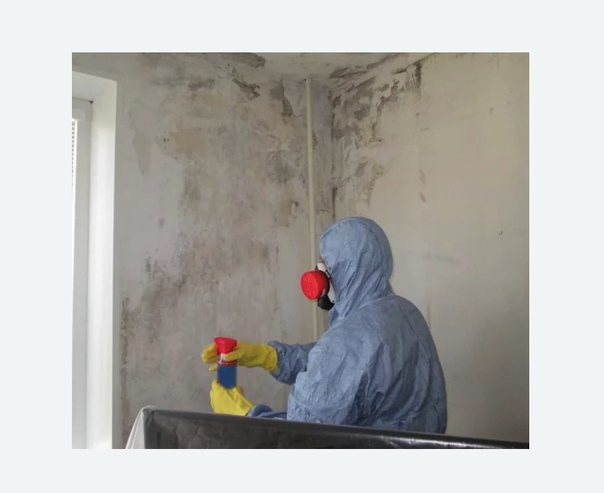Удаление плесени в квартире в Копейске