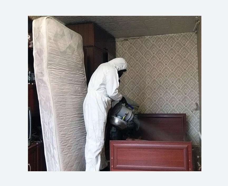 дезинфекция от клопов в Копейске