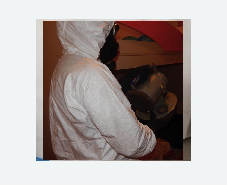 Дезинфекция от муравьев в Копейске