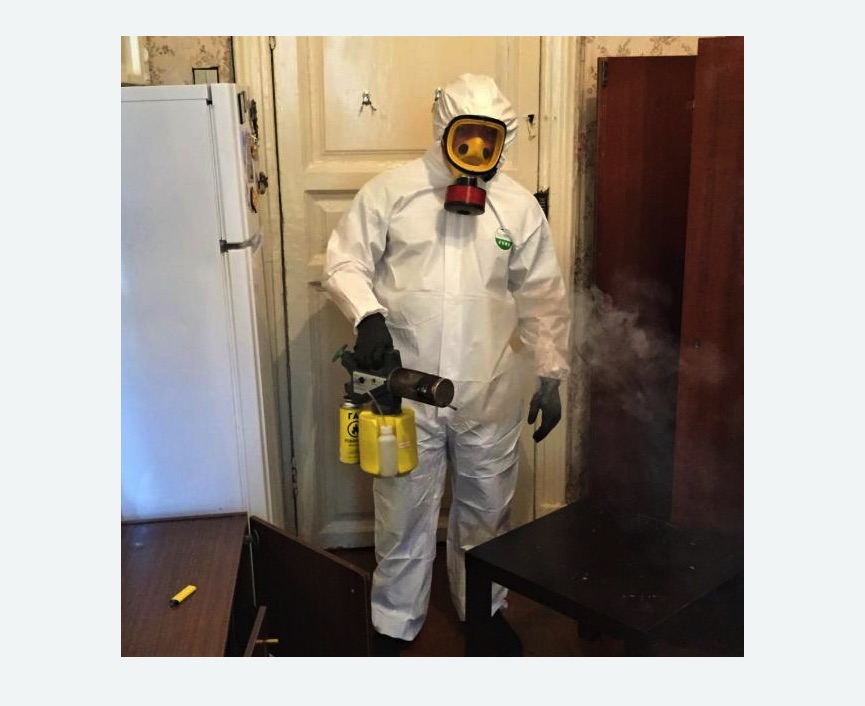 уничтожение муравьев в квартире в Копейске